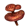 Reishi.png