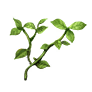Herb leaf.png