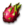 Dragon Fruits.png