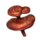 Reishi.png