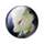 Three Tailed Snow Fox (item).png